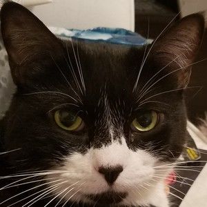 Meet your Posher, Melanie